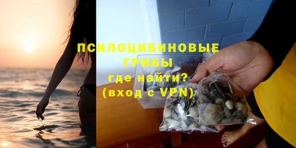 apvp Нязепетровск